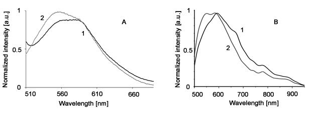 超导单光子探测器SNSPD助力解析视网膜脂褐素病理特性