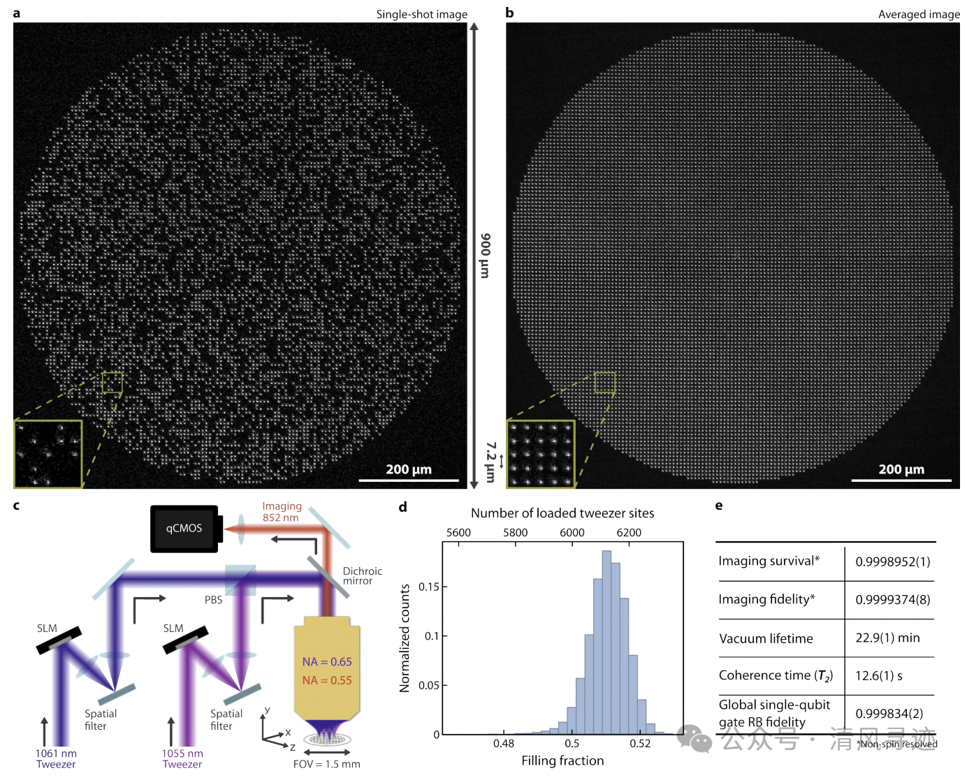 创纪录！加州理工6100量子比特光镊阵列，打破“数量-质量”悖论
