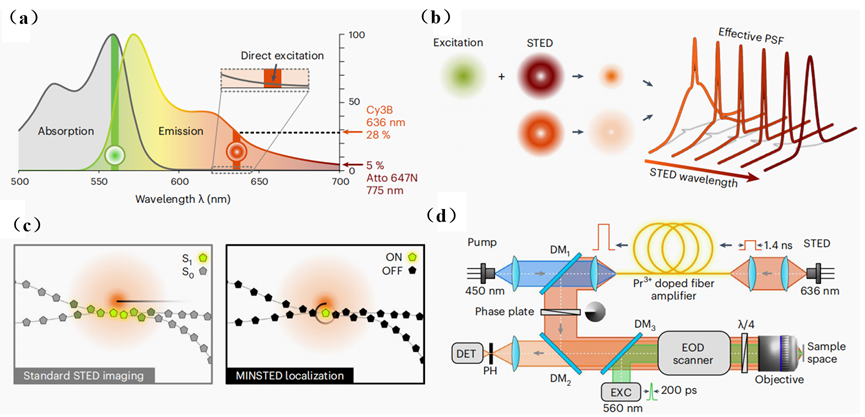 从纳米到埃米：三维超分辨显微技术的光学衍射极限“突围之路” |《光学学报（网络版）》