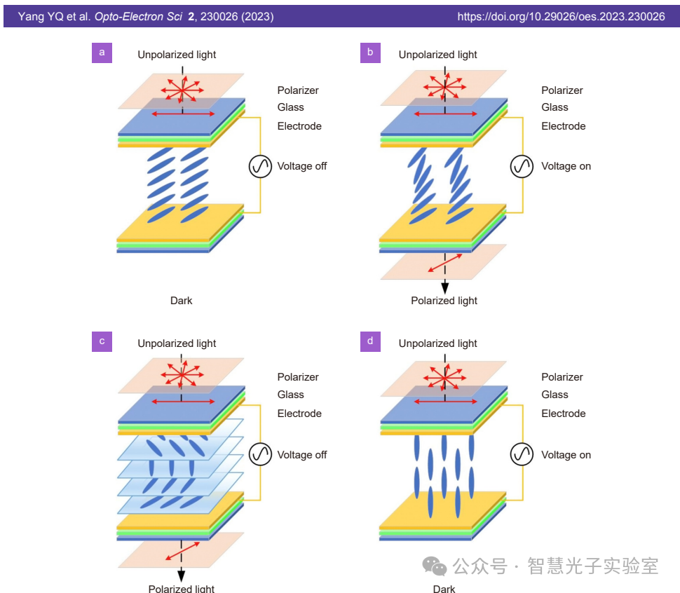 光学领域的革命性工具：液晶空间光调制器技术全景解读