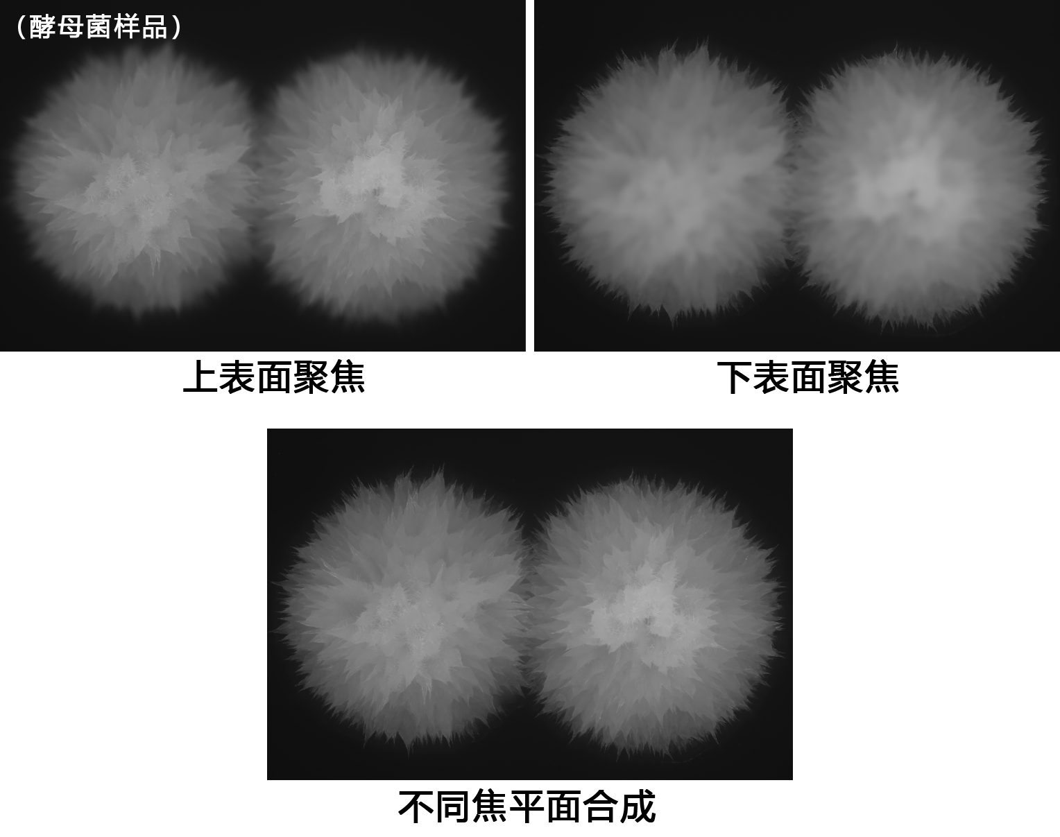 科普｜什么是景深？微镜阵列破解工业检测的景深难题