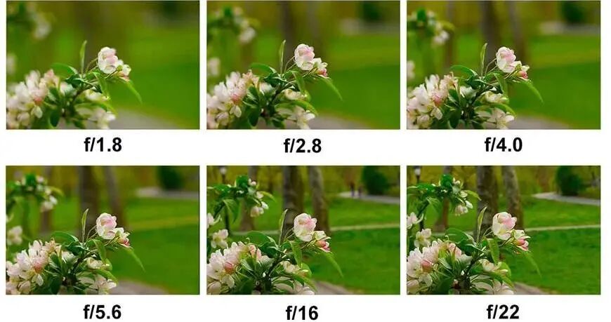 科普｜什么是景深？微镜阵列破解工业检测的景深难题