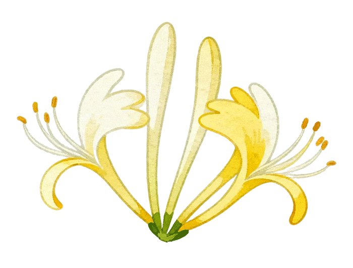 蓝光激光聚变获日本“登月计划”支持,诺奖得主领衔推进人造太阳商业化