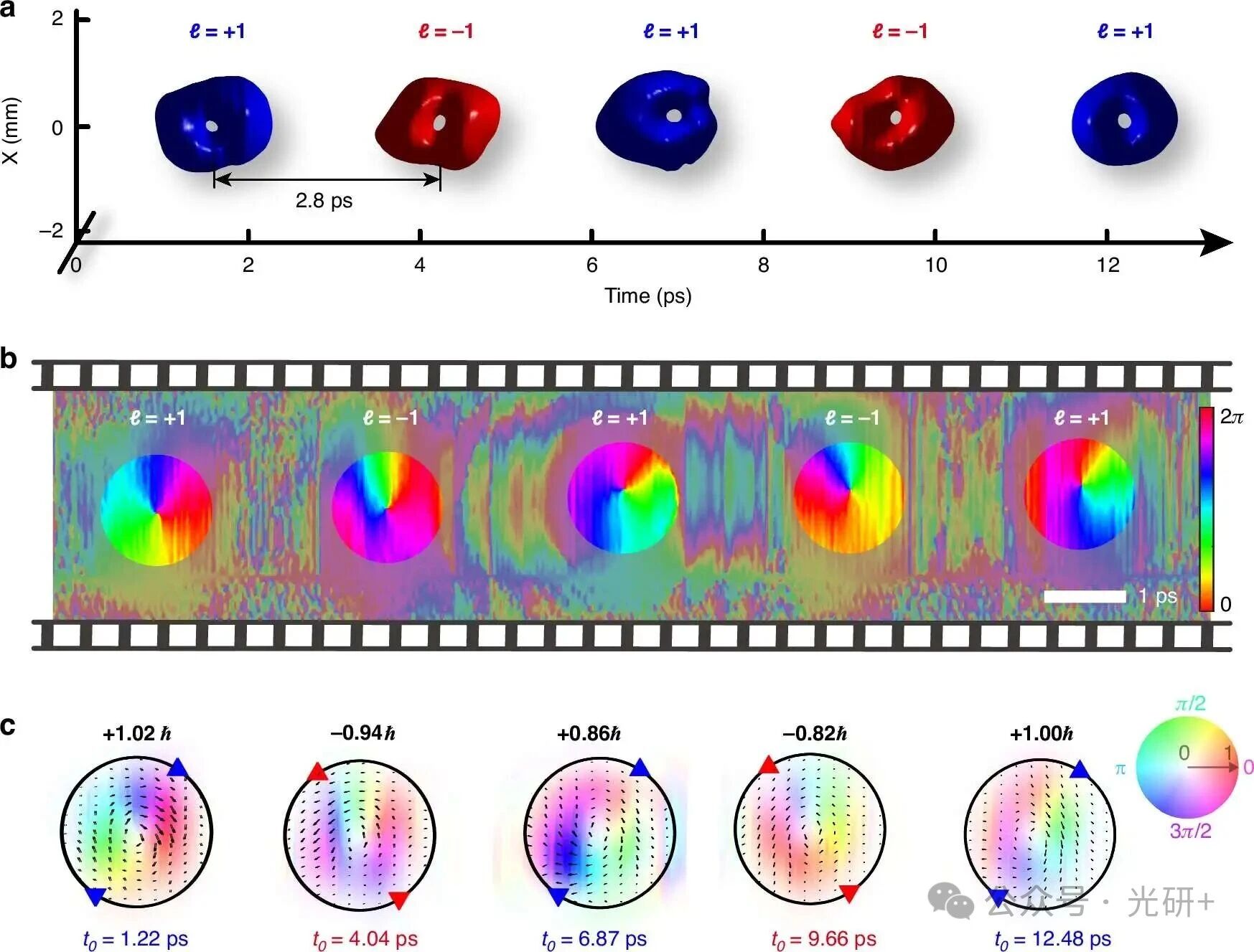 Light | 詹其文/蔡阳健团队定制时空涡旋脉冲串