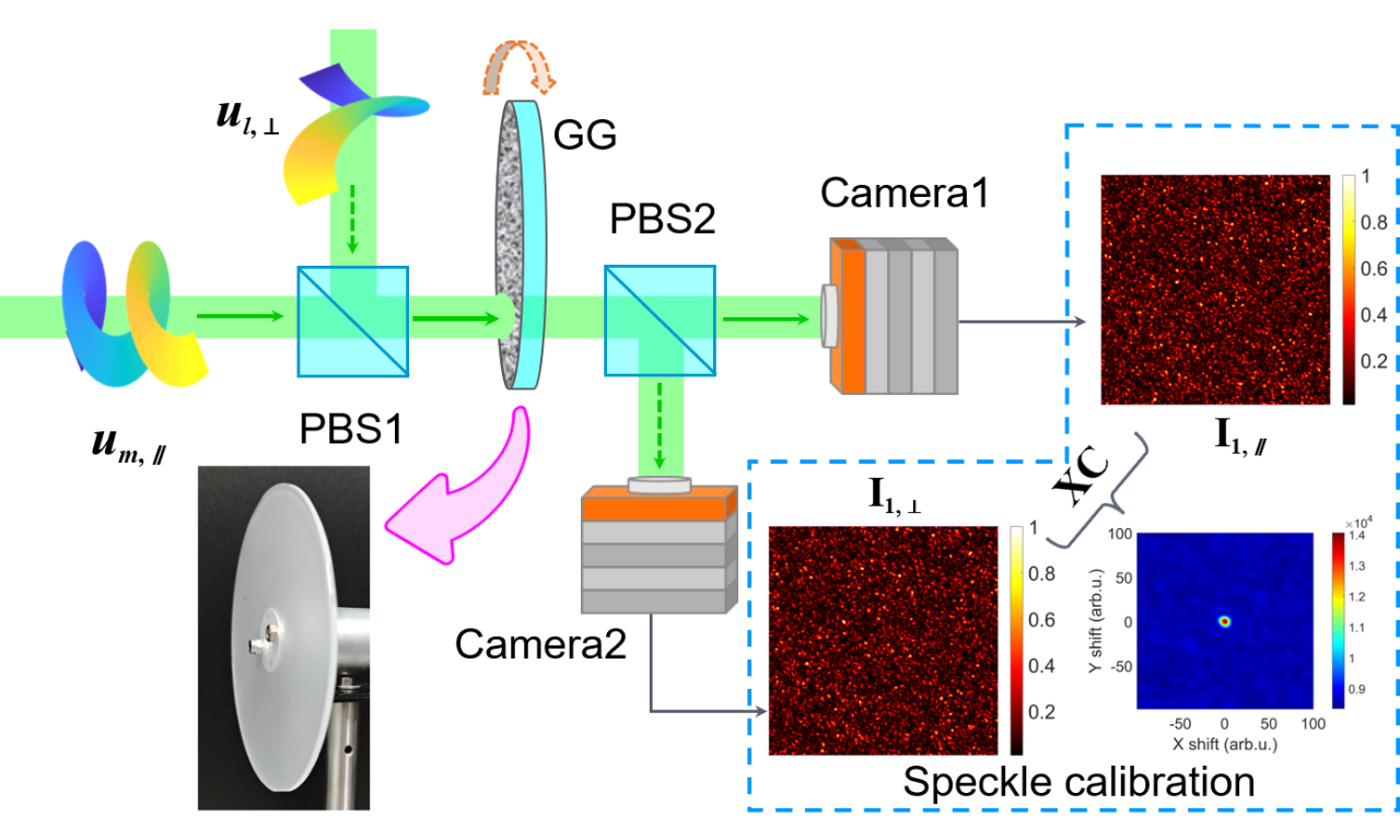 深圳大学范滇元院士团队：动态散射体系中实现OAM介导信息的有效提取 | 前沿进展