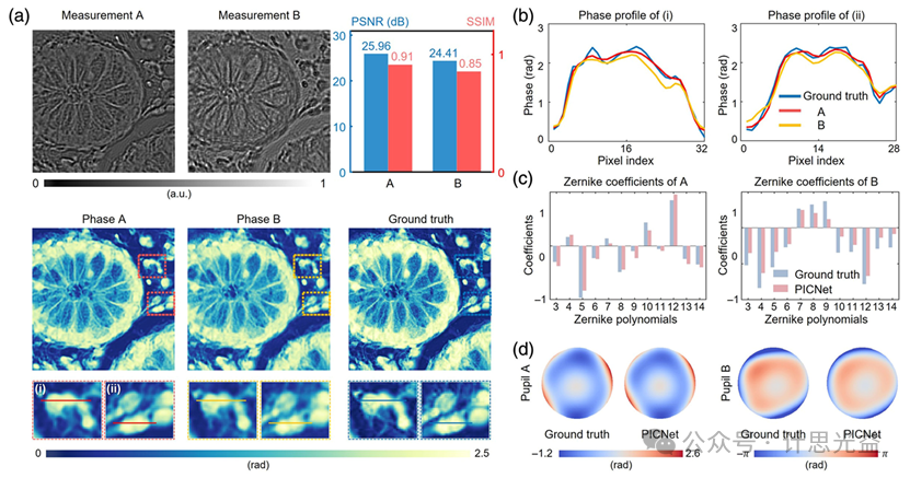 [文献速递No.571]基于物理先验信息的自适应相差校正定量相位成像
