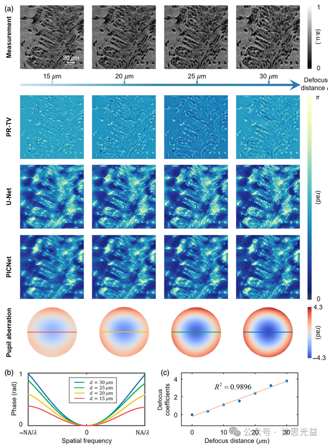 [文献速递No.571]基于物理先验信息的自适应相差校正定量相位成像