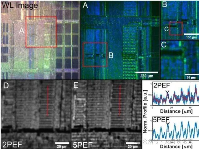 亚利桑那大学突破：五光子显微镜，让癌细胞无处遁形！