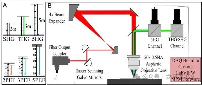 亚利桑那大学突破：五光子显微镜，让癌细胞无处遁形！