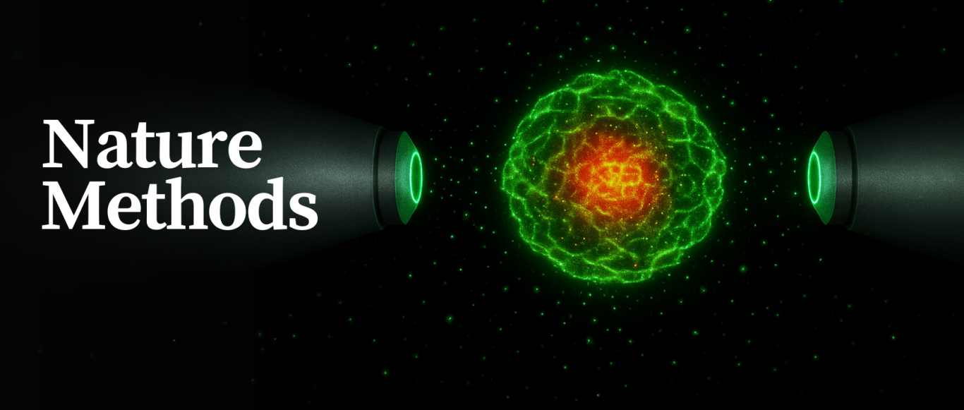 章永登Nature Methods丨4Pi-SIMFLUX实现全细胞三维2纳米定位精度
