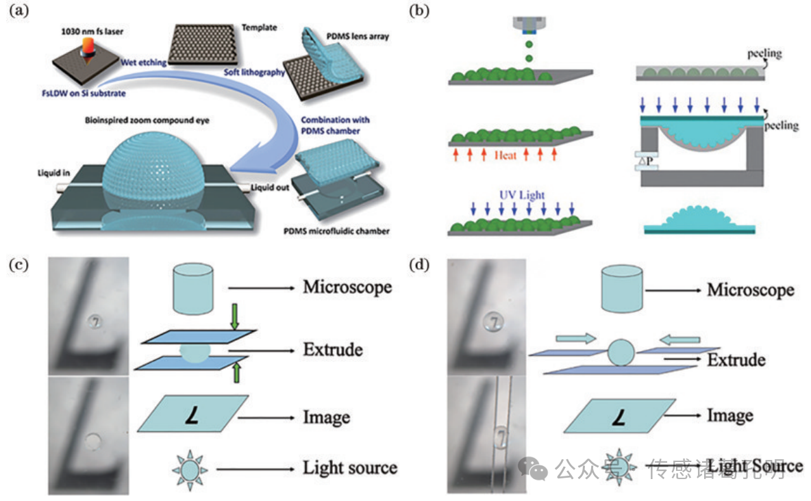 中国光学十大进展：可调谐微透镜阵列的研究进展