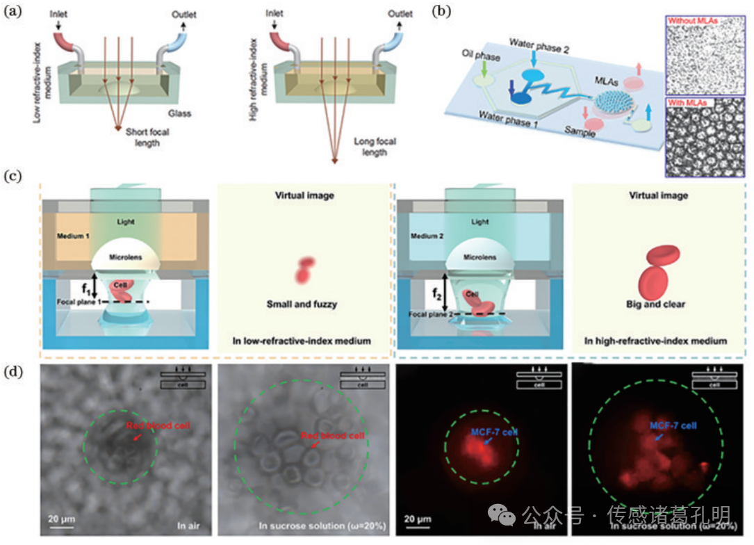 中国光学十大进展：可调谐微透镜阵列的研究进展