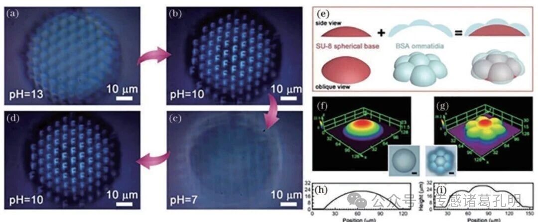 中国光学十大进展：可调谐微透镜阵列的研究进展