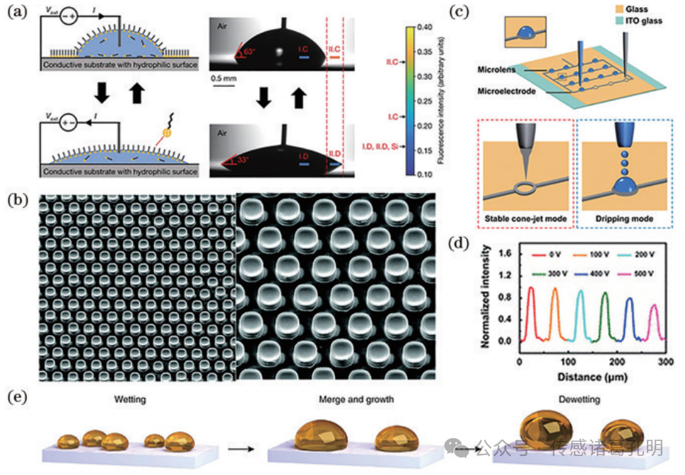 中国光学十大进展：可调谐微透镜阵列的研究进展