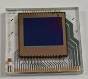 中国科学院上海技术物理研究所魏彦锋团队：天文短波红外焦平面探测器的增益均匀性