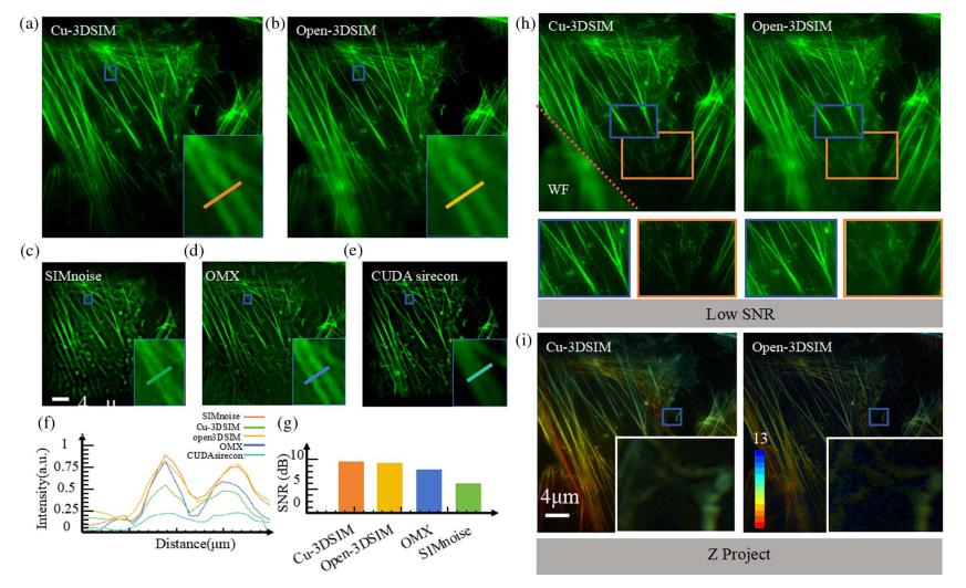 主编推荐：超分辨显微的“时间瓶颈” | Advanced Imaging