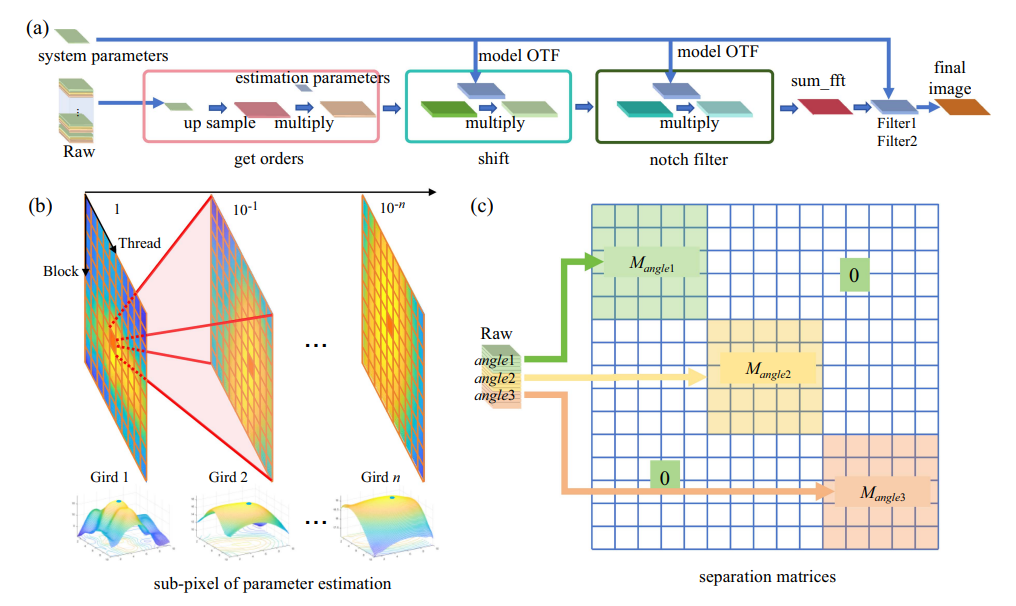 主编推荐：超分辨显微的“时间瓶颈” | Advanced Imaging