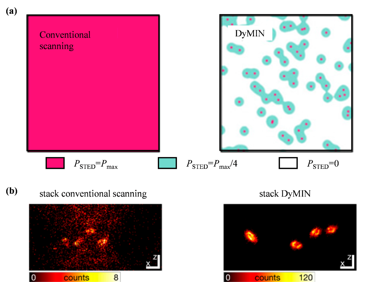 专题亮点 | 事件驱动显微成像：生物活体成像新前沿