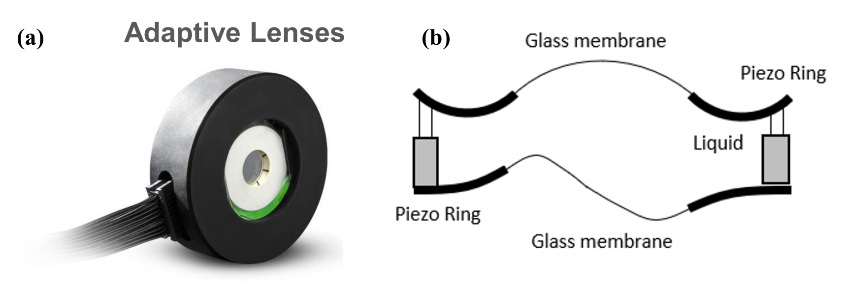 Dynamic Optics自适应光学系列- 变形透镜篇
