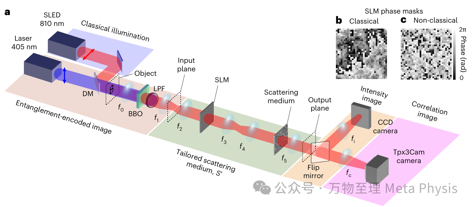 2026 Nature Physics | 量子纠缠实现复杂介质选择性图像传输 2026 Nature Physics | 量子纠缠实现复杂介质选择性图像传输