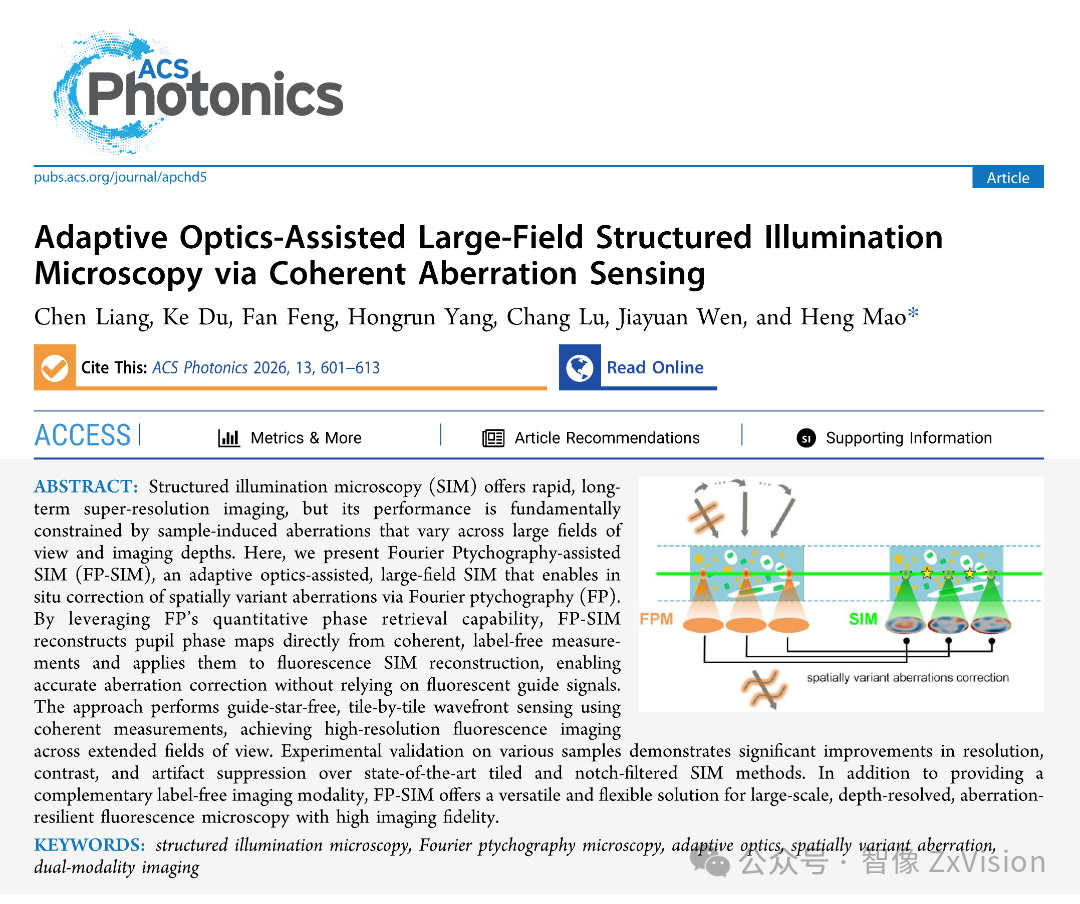 ACS Photonics | 不再一刀切的大视场超分辨显微,实现边成像边校正 ACS Photonics | 不再一刀切的大视场超分辨显微,实现边成像边校正