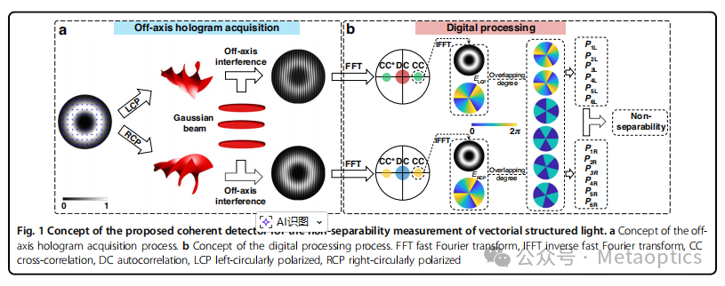 Light:Science&Applications:相干探测器实现矢量结构光非可分性单次测量 Light:Science&Applications:相干探测器实现矢量结构光非可分性单次测量
