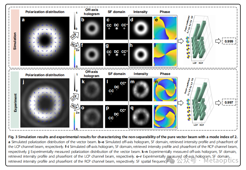 Light:Science&Applications:相干探测器实现矢量结构光非可分性单次测量 Light:Science&Applications:相干探测器实现矢量结构光非可分性单次测量